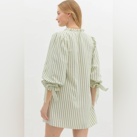Entro Green Striped V-Neck Shift Dress - Picture 3 of 10